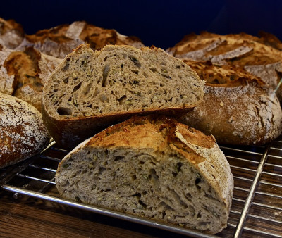 organic seed country bread wikipedia